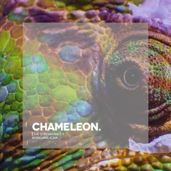 Chameleon