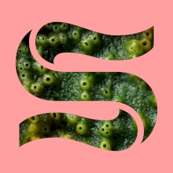 Neptunes (Ela Minus remixes)