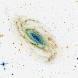 The Fractal Universe