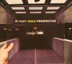 Perspective