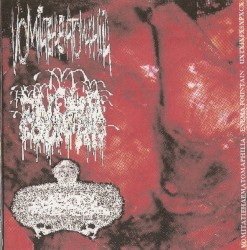Vomitatiehaematomaphilia / Enema Fountain / UxTxIxFxSxPxCx