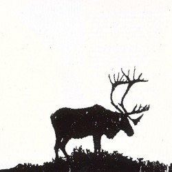 The Sun and the Wind