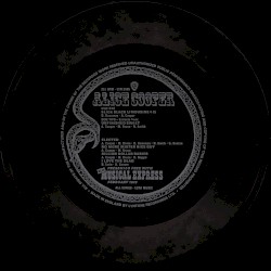 Slick Black Limousine