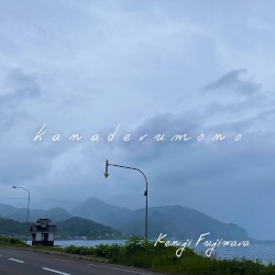 kanaderumono