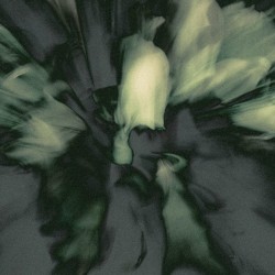 There Is No Safety in the Dark