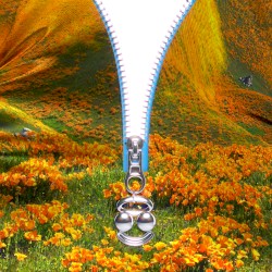 Lust for Life (BloodPop® remix)