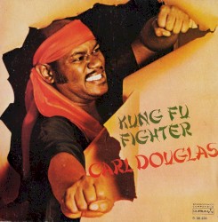Kung Fu Fighter