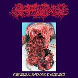 Subneural Entropic Dysgenesis
