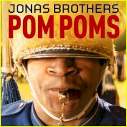 Pom Poms