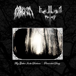 They Gather in the Darkness / Primordial Decay