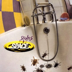 Spiders