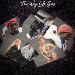 The Way Life Goes (remix)