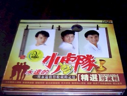 永远的小虎队精选珍藏辑