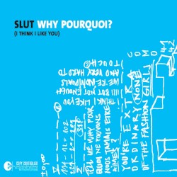 Why Pourquoi? (I Think I Like You)