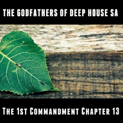 The 1st Commandment: Chapter 13