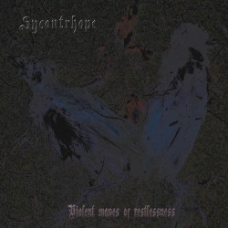 Violent Waves of Restlessness