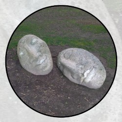 Moonlit Missive #118: 'Violets and Leaves of Vine'