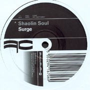 Shaolin Soul / Anything For Now