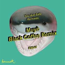 Muyè (Black Coffee Remix)