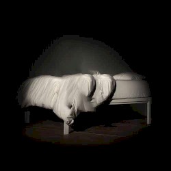 bury a friend