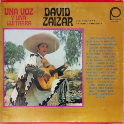 Una voz y una guitarra