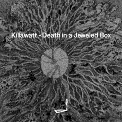 Death in a Jeweled Box