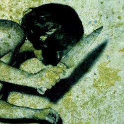 Collected Atrocities 2005–2008