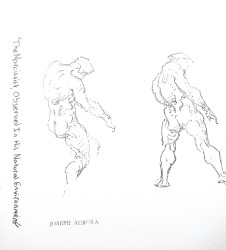 The Narcissist, Observed in His Natural Environment