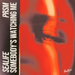 Somebody's Watching Me