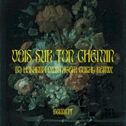 Vois sur ton chemin (DJ Holanda MONTAGEM CORAL Remix)