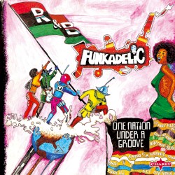 One Nation Under a Groove