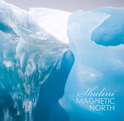 Magnetic North