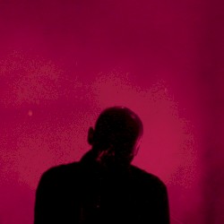 Live at Trans Musicales