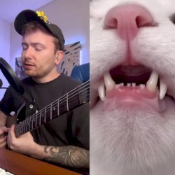 Teeth Don’t Match the Bite