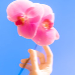 i couldn't hold back