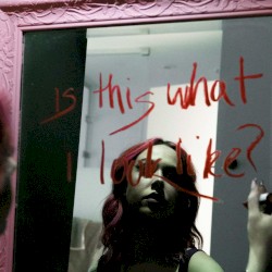 is this what i look like?