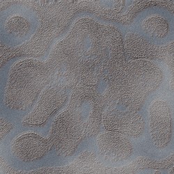 Soisong Broadcast #8