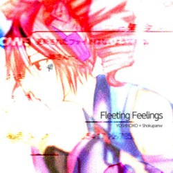 Fleeting Feelings