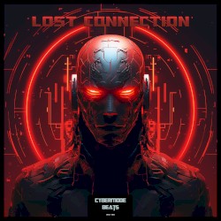 Lost Connection