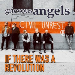 If There Was a Revolution