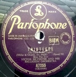 Tristesse / In an Old Dutch Garden