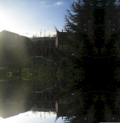 november variations