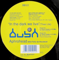 In the Dark We Live (Thee Lite)