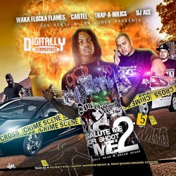 Salute Me Or Shoot Me 2.5