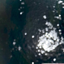 window surfer (gimme luv & money version)