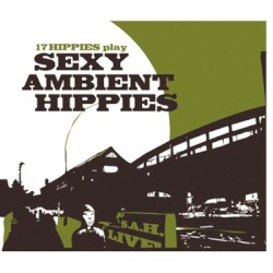 Sexy Ambient Hippies