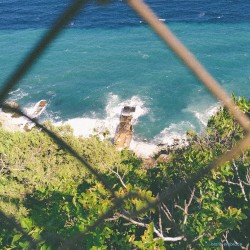 I’m Not Leaving You Alone