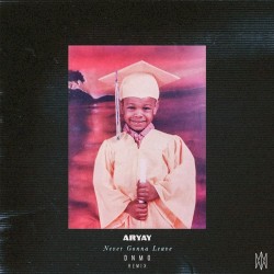 Never Gonna Leave (DNMO Remix)