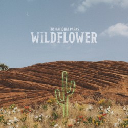 Wildflower
