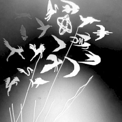 set_me_free_of / floor